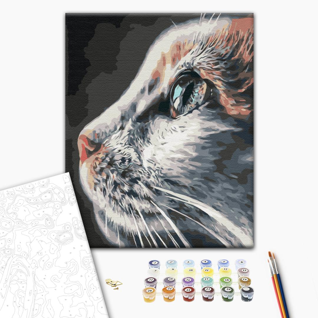 Malen nach Zahlen - Feline majesty