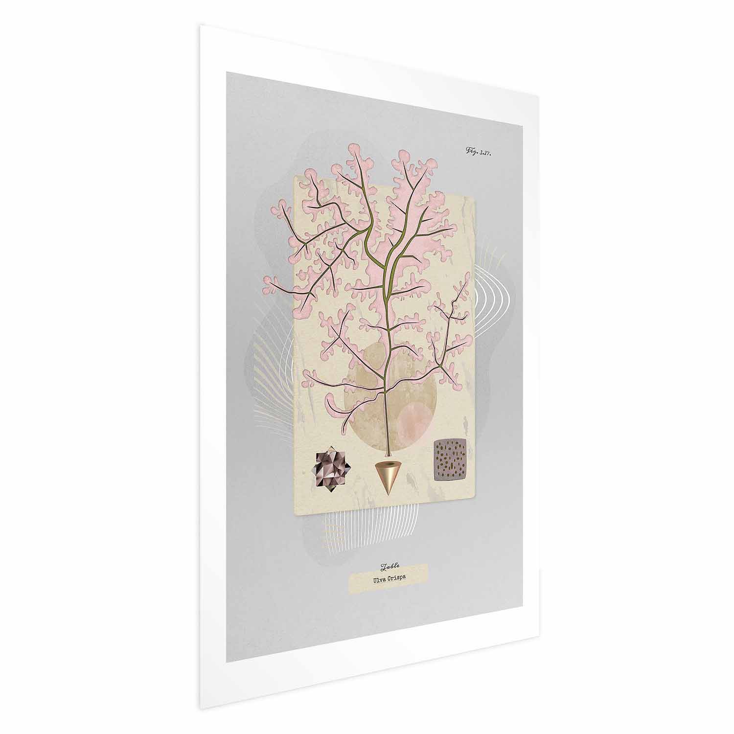 Poster - Mysterious Tree