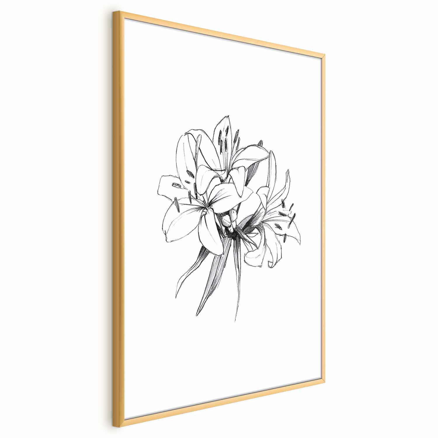 Poster - Drawn Flowers