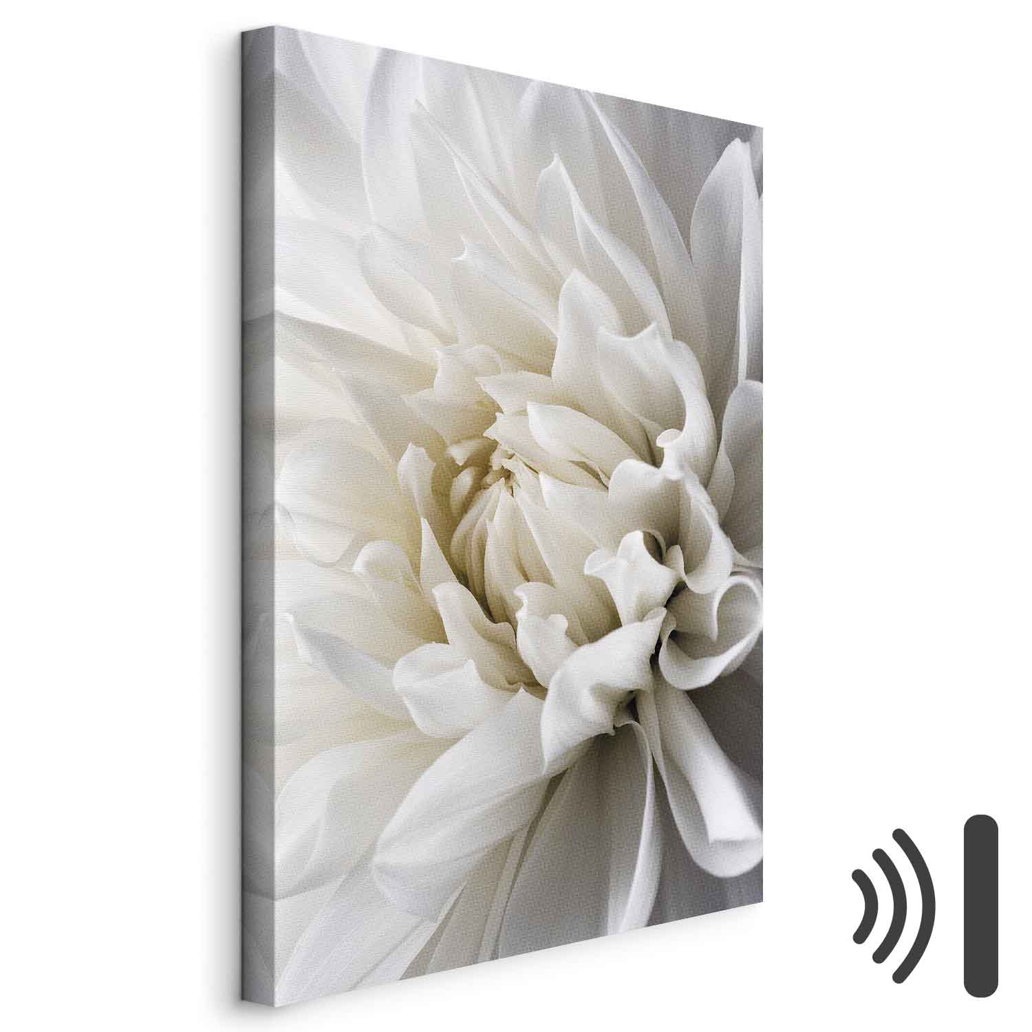 Leinwandbild - White Dahlia