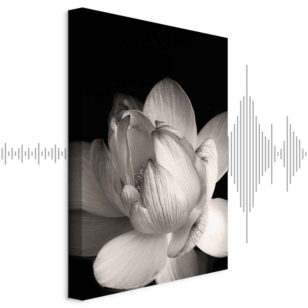 Leinwandbild - Delicacy of Petals in Nature (1-part) - Flower in Black and White