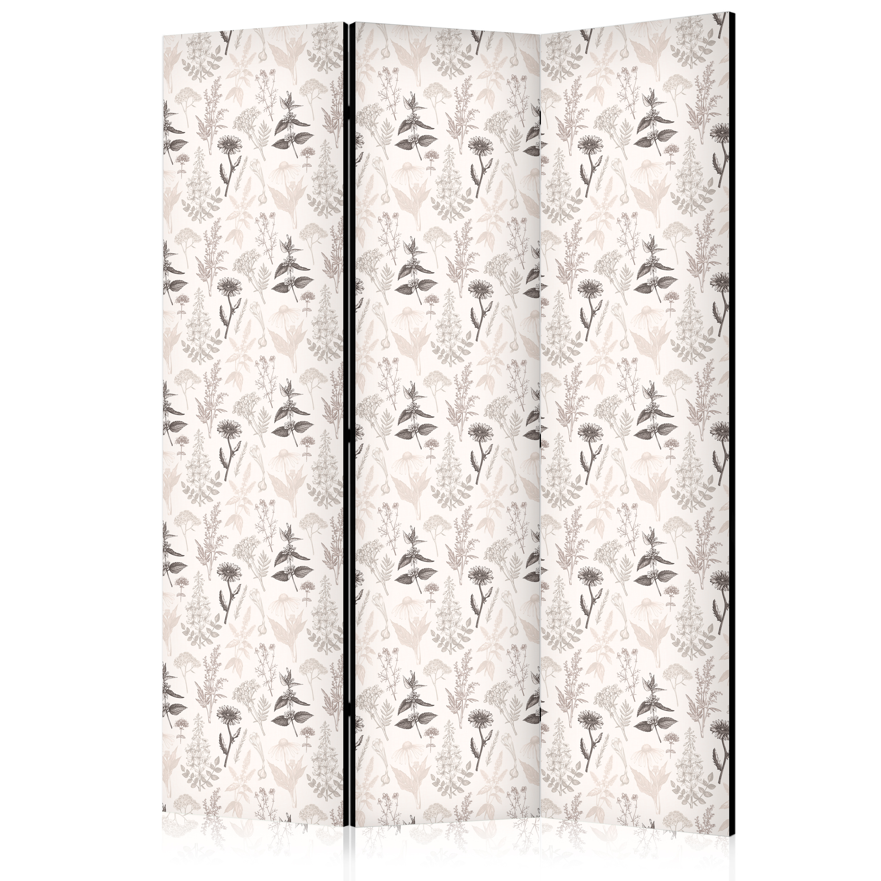 Paravent - Botanical Illustration - Drawing of Flowers and Herbs - Beige Grays