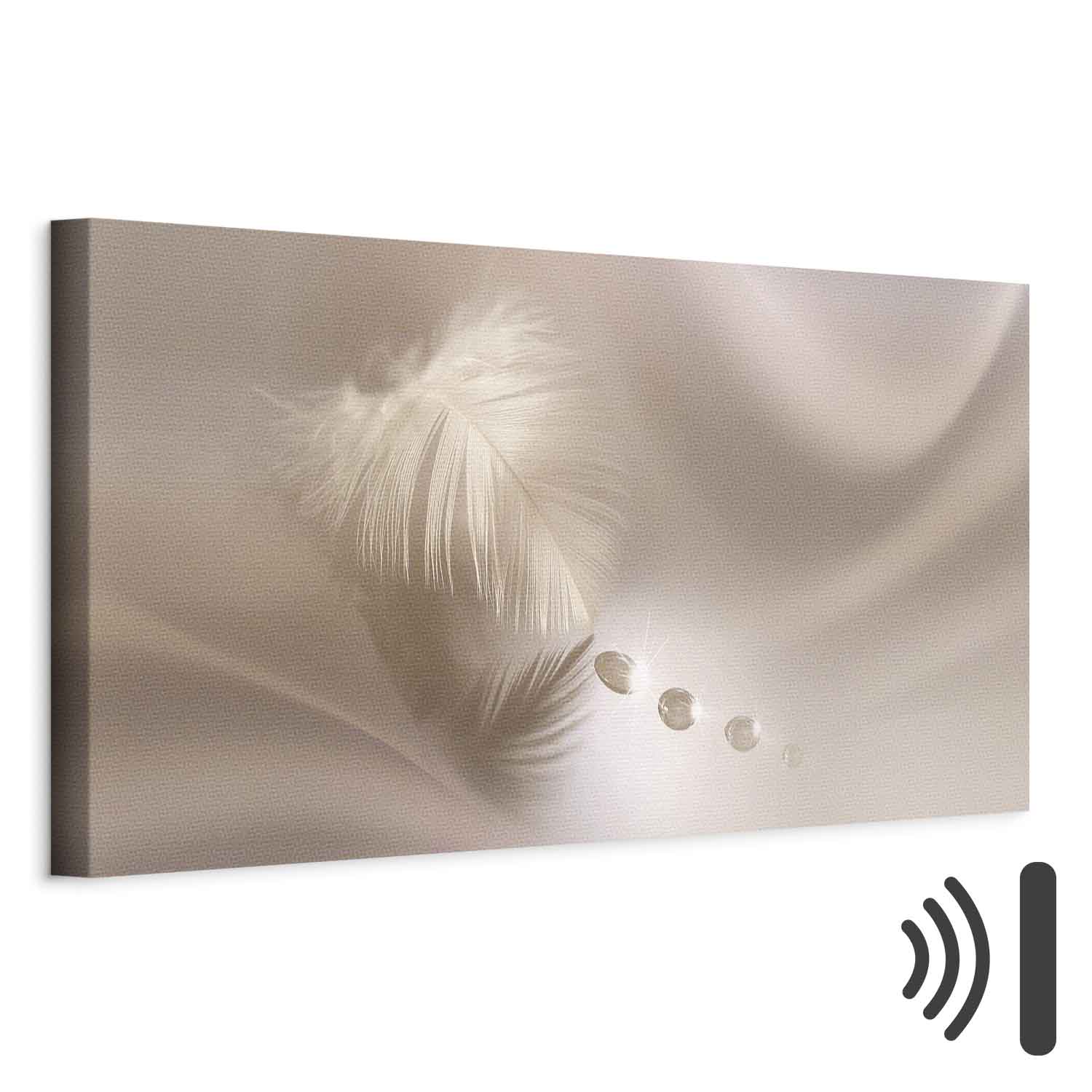 Leinwandbild - Delicate Feather