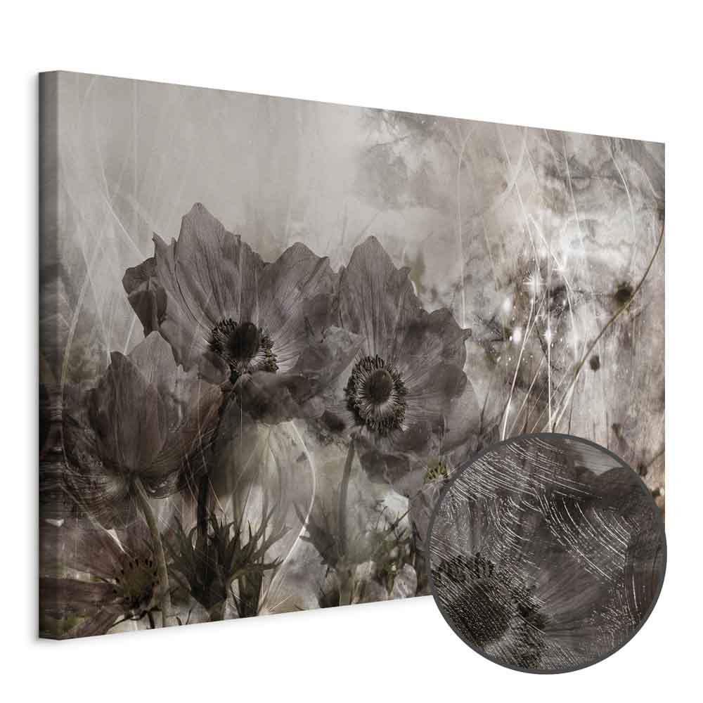Leinwandbild - Anemones in Sepia (1 Part) Wide