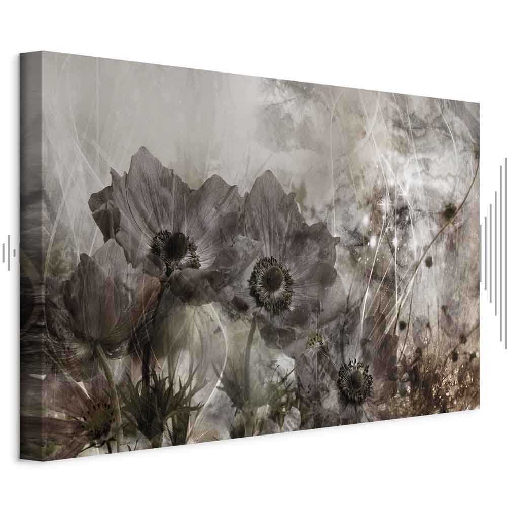 Leinwandbild - Anemones in Sepia (1 Part) Wide