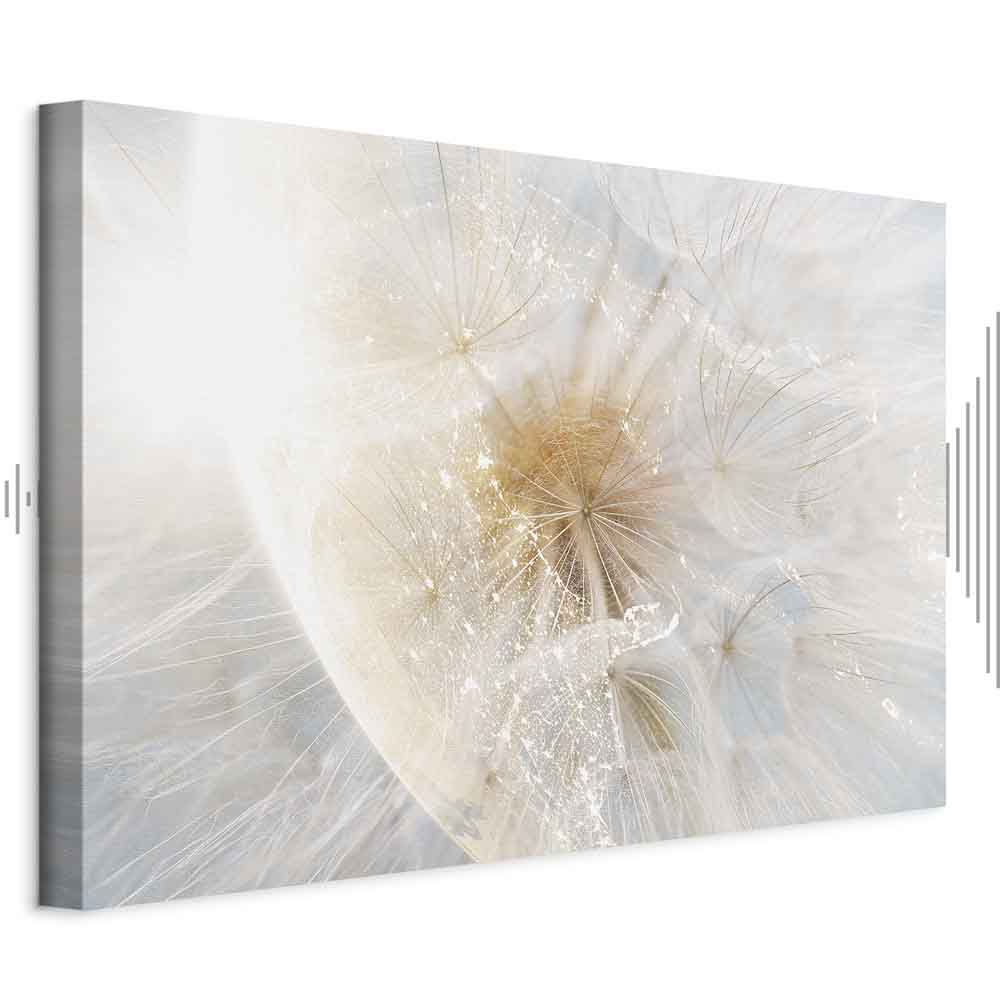 Leinwandbild - Dandelion in the Sun (1 Part) Wide