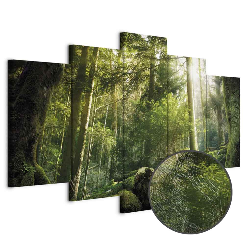 Leinwandbild - The Beauty of the Forest