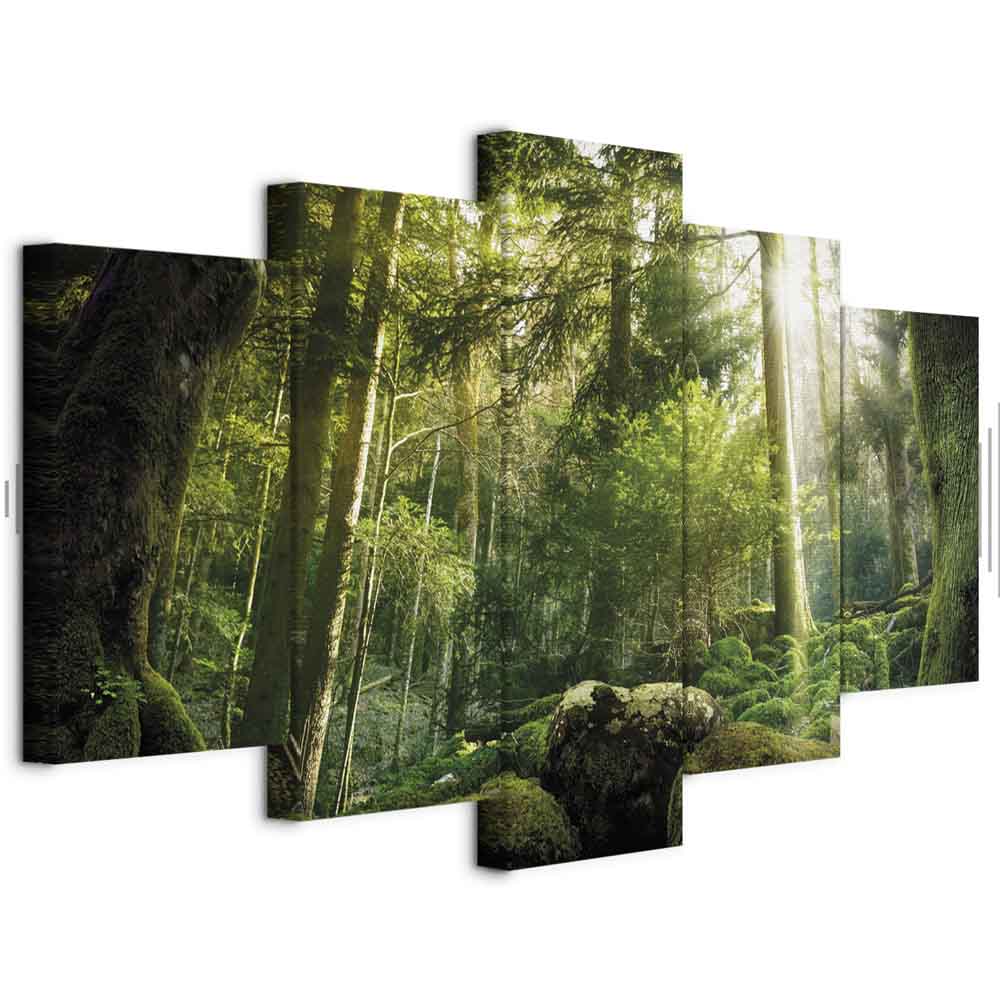 Leinwandbild - The Beauty of the Forest