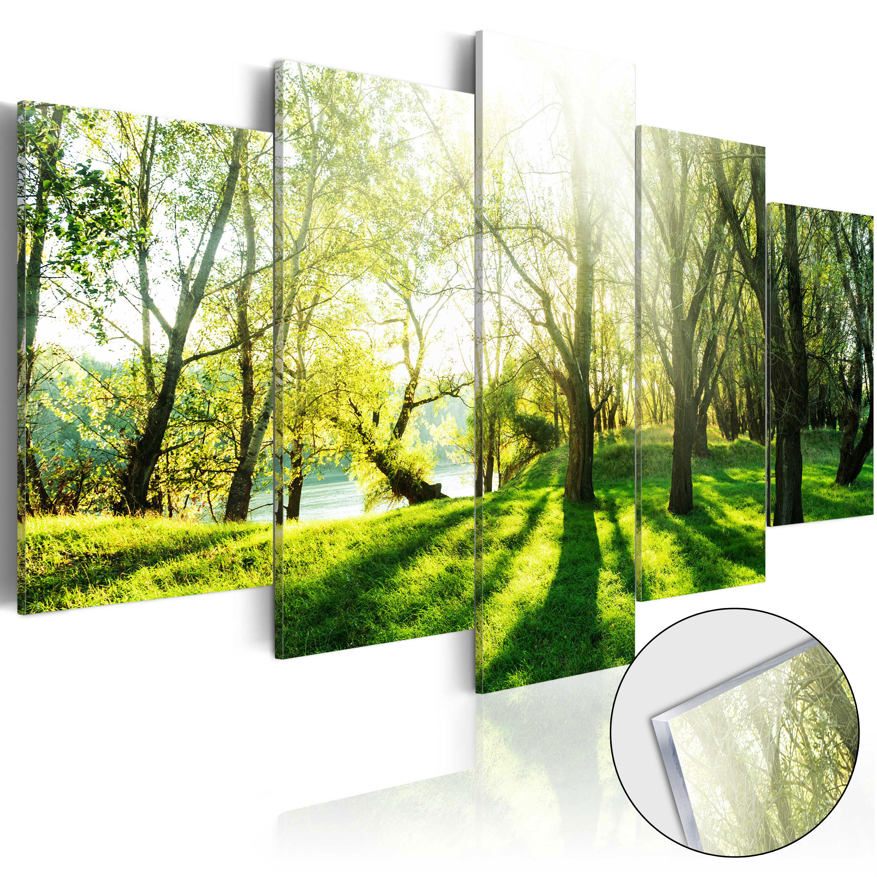 Acrylglasbild - Green Glade
