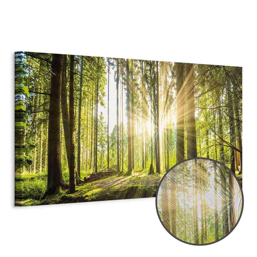 Leinwandbild - Daylight