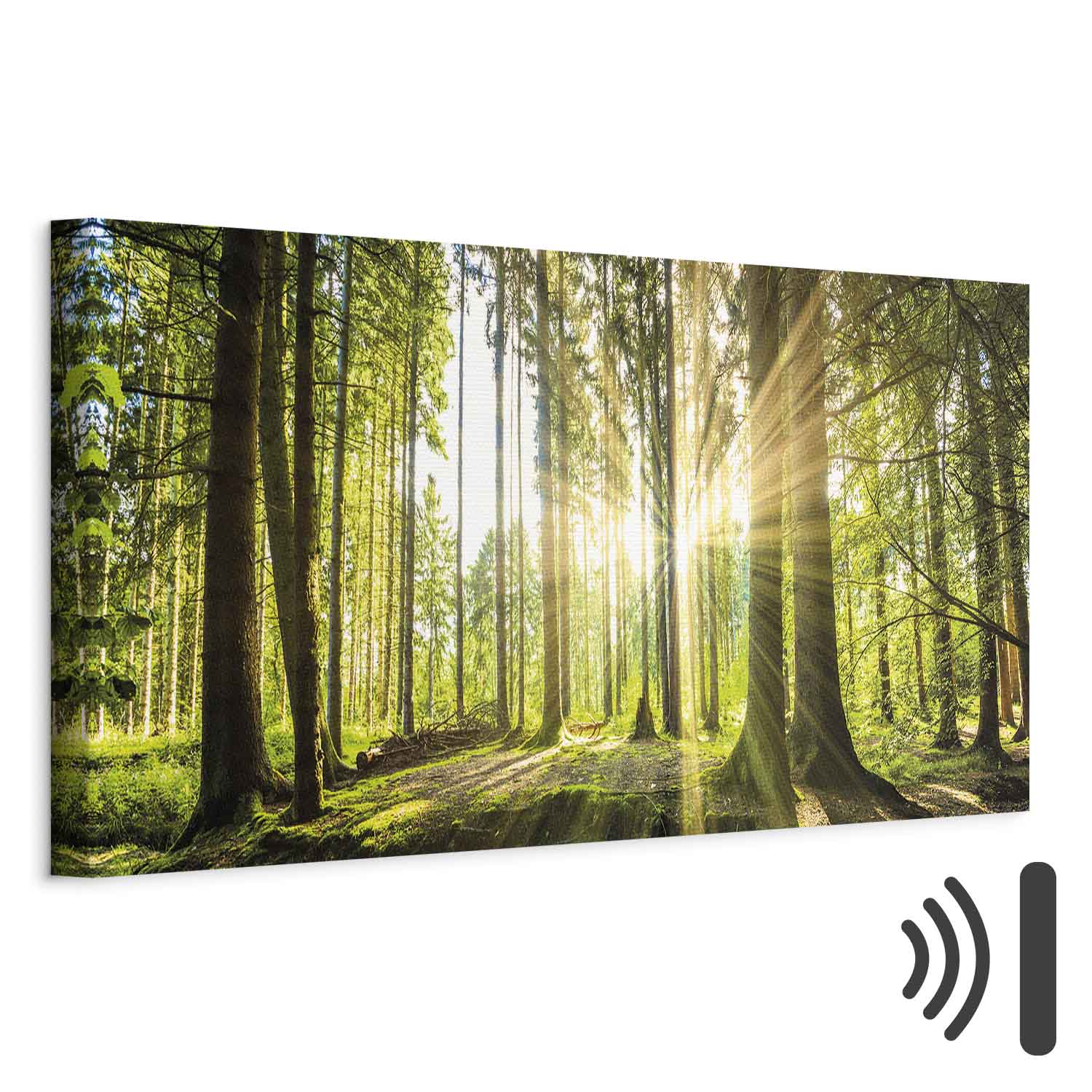 Leinwandbild - Daylight