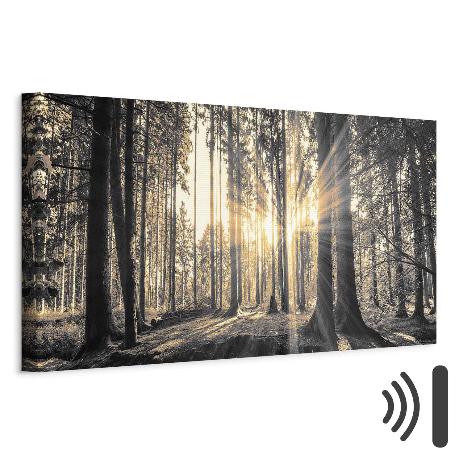 Leinwandbild - Forest Sun