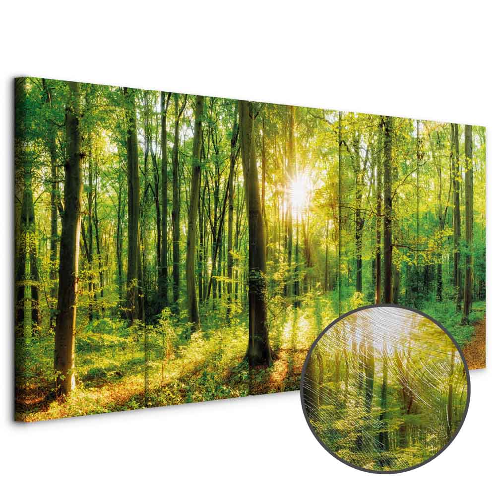 Leinwandbild - Magic Forest