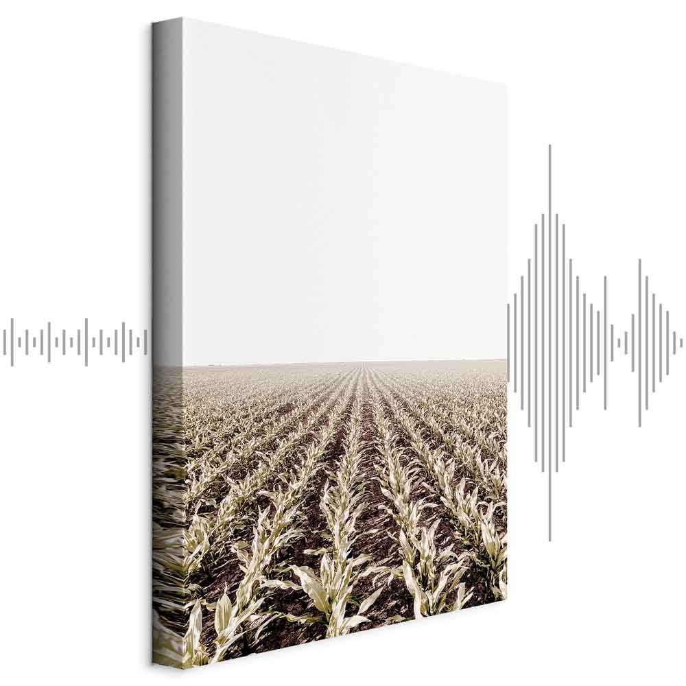 Leinwandbild - Corn Field (1 Part) Vertical