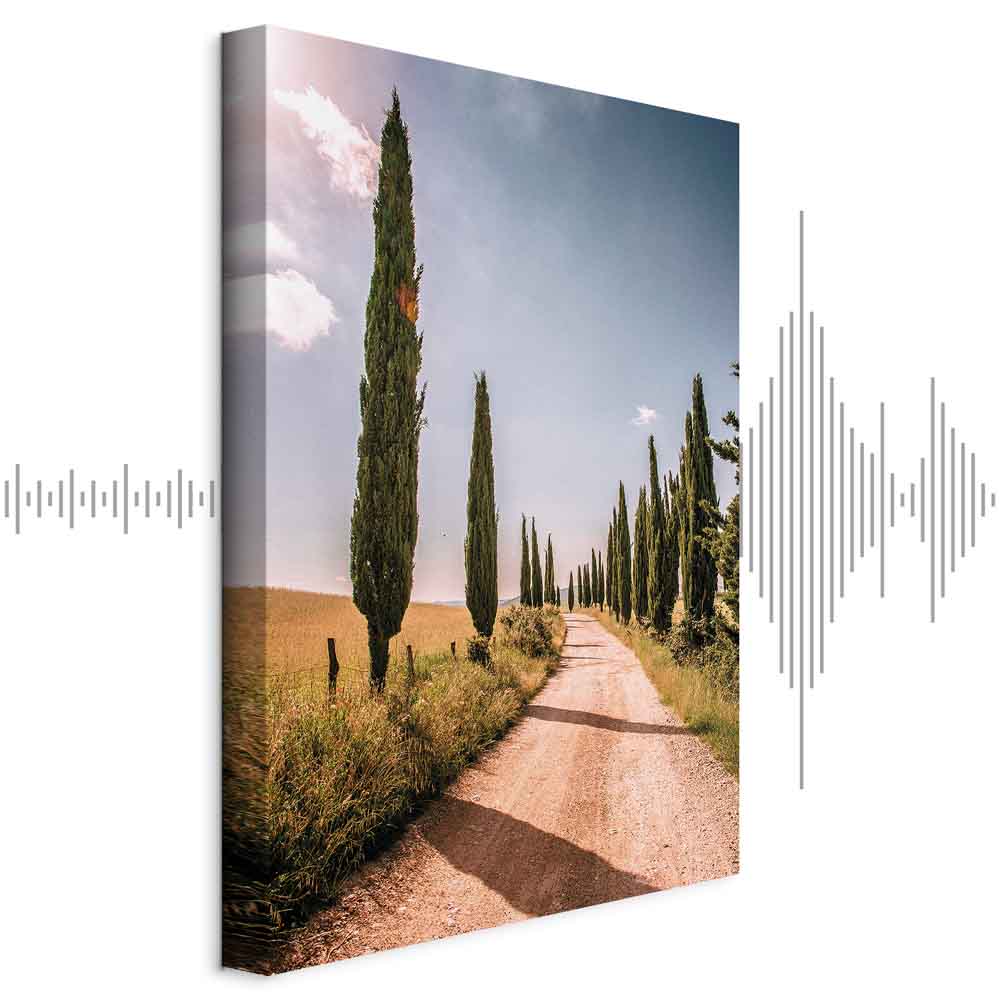 Leinwandbild - Italian cypresses (1 Part) Vertical