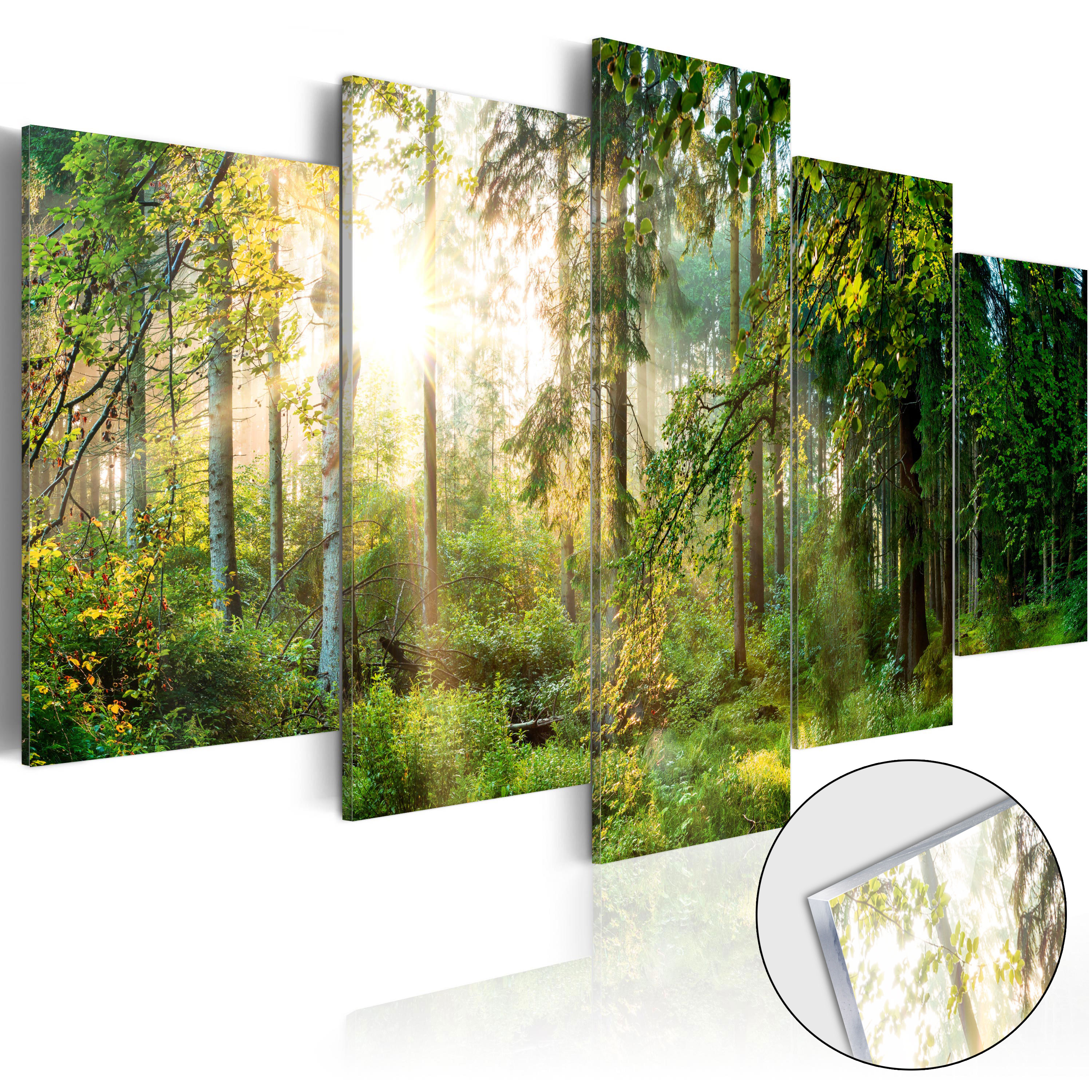Acrylglasbild - Green Sanctuary