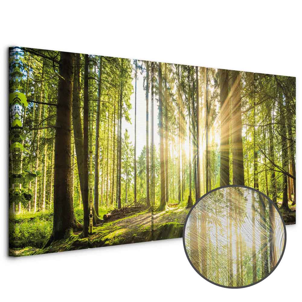 Leinwandbild - Sunlight