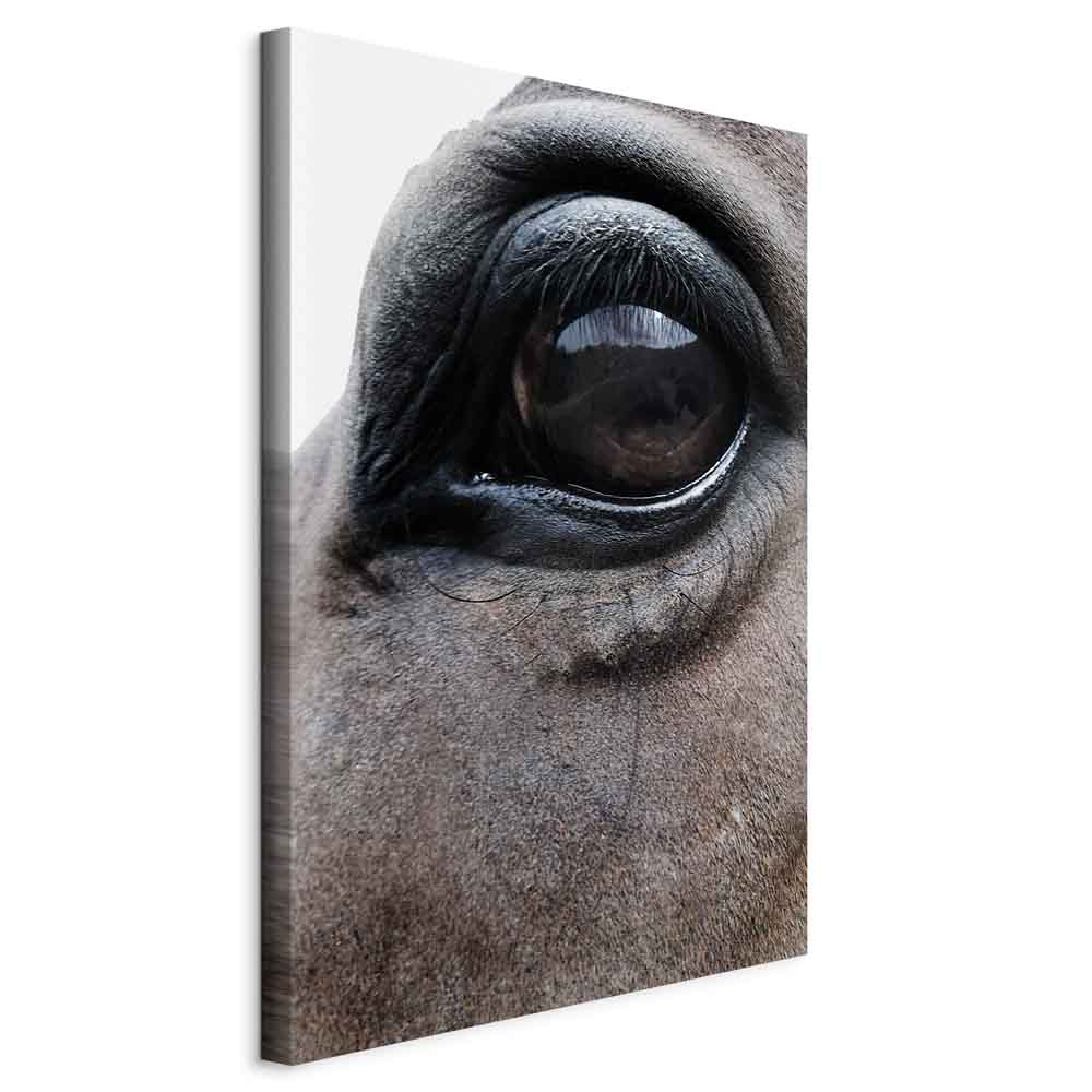 Leinwandbild - Honest Eyes (1 Part) Vertical