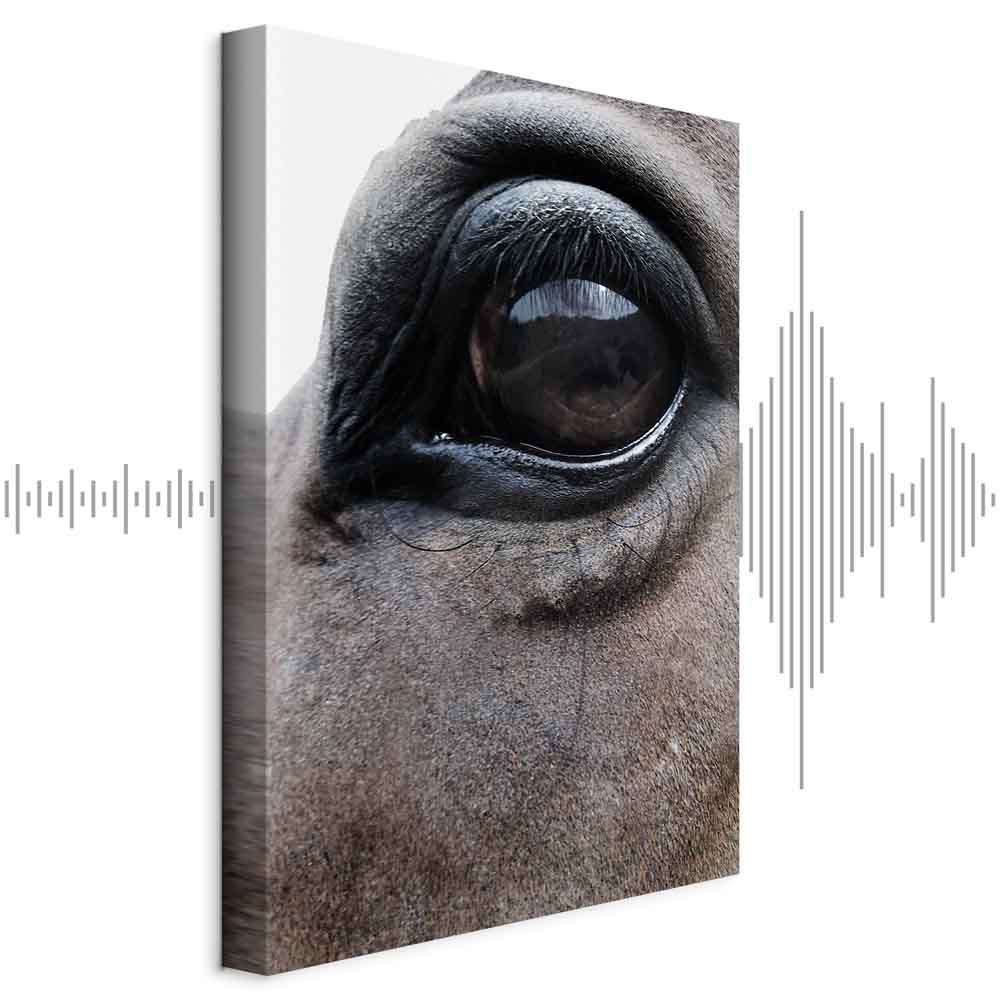 Leinwandbild - Honest Eyes (1 Part) Vertical