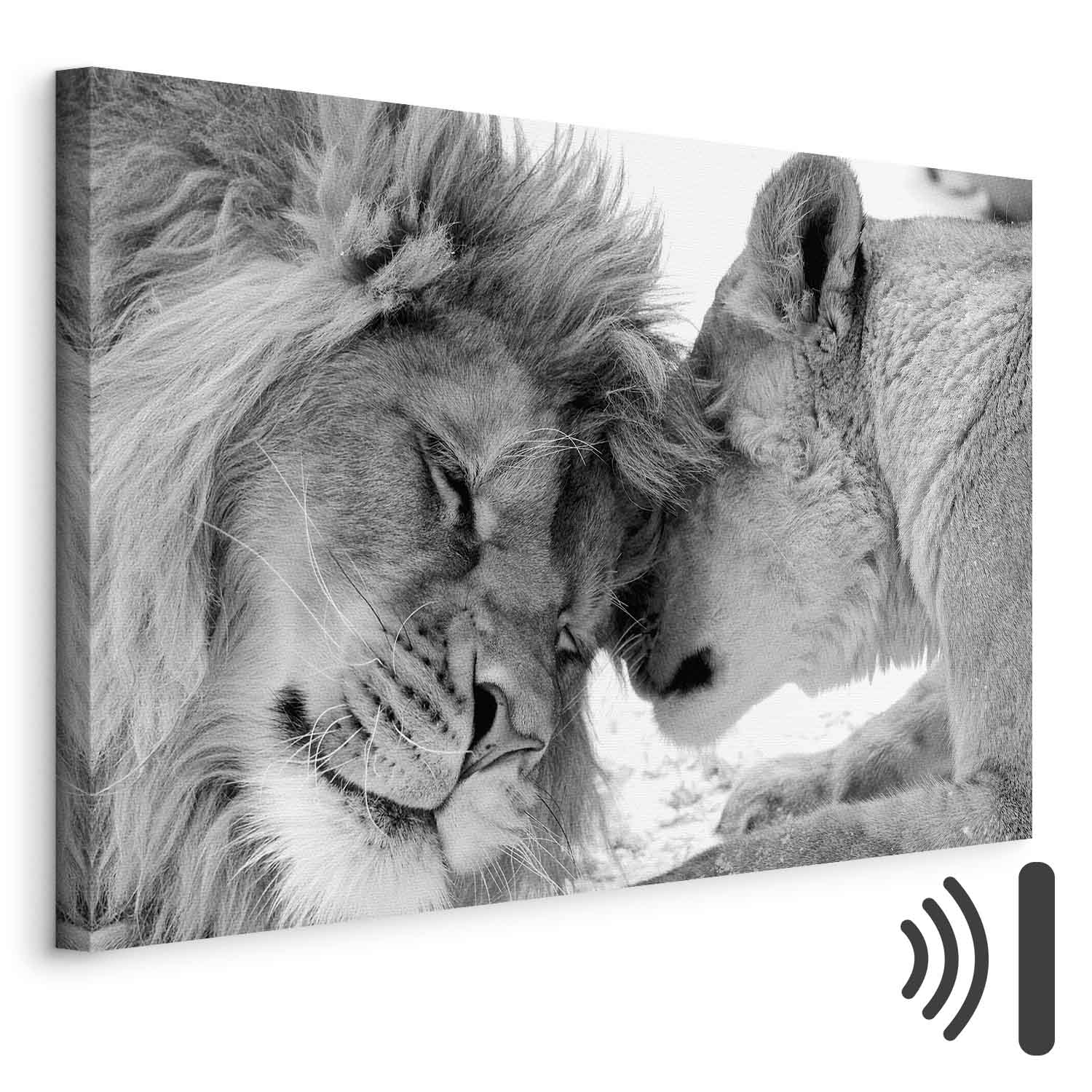 Leinwandbild - Lion's Love