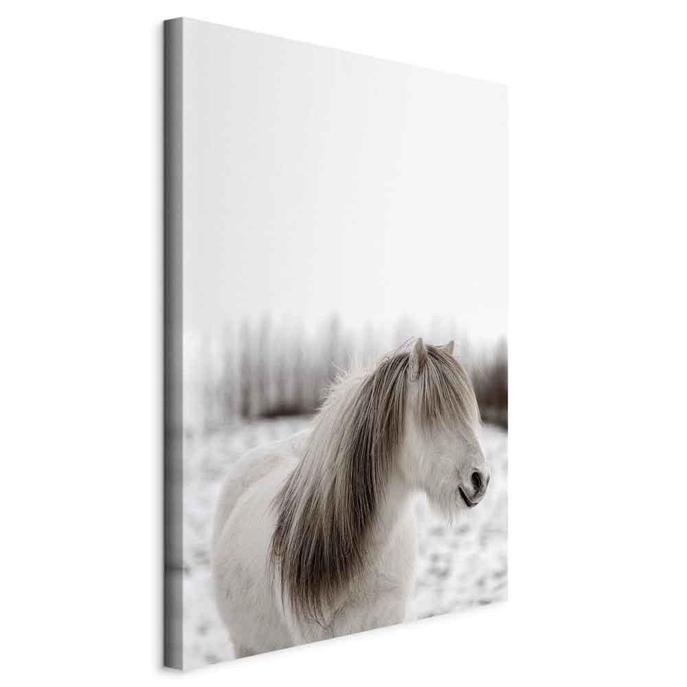 Leinwandbild - Horse Mane (1 Part) Vertical