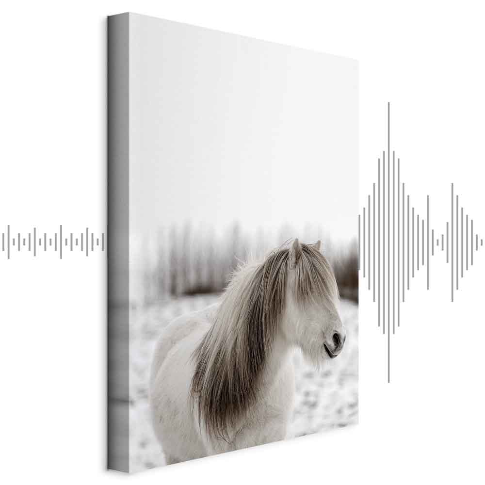 Leinwandbild - Horse Mane (1 Part) Vertical