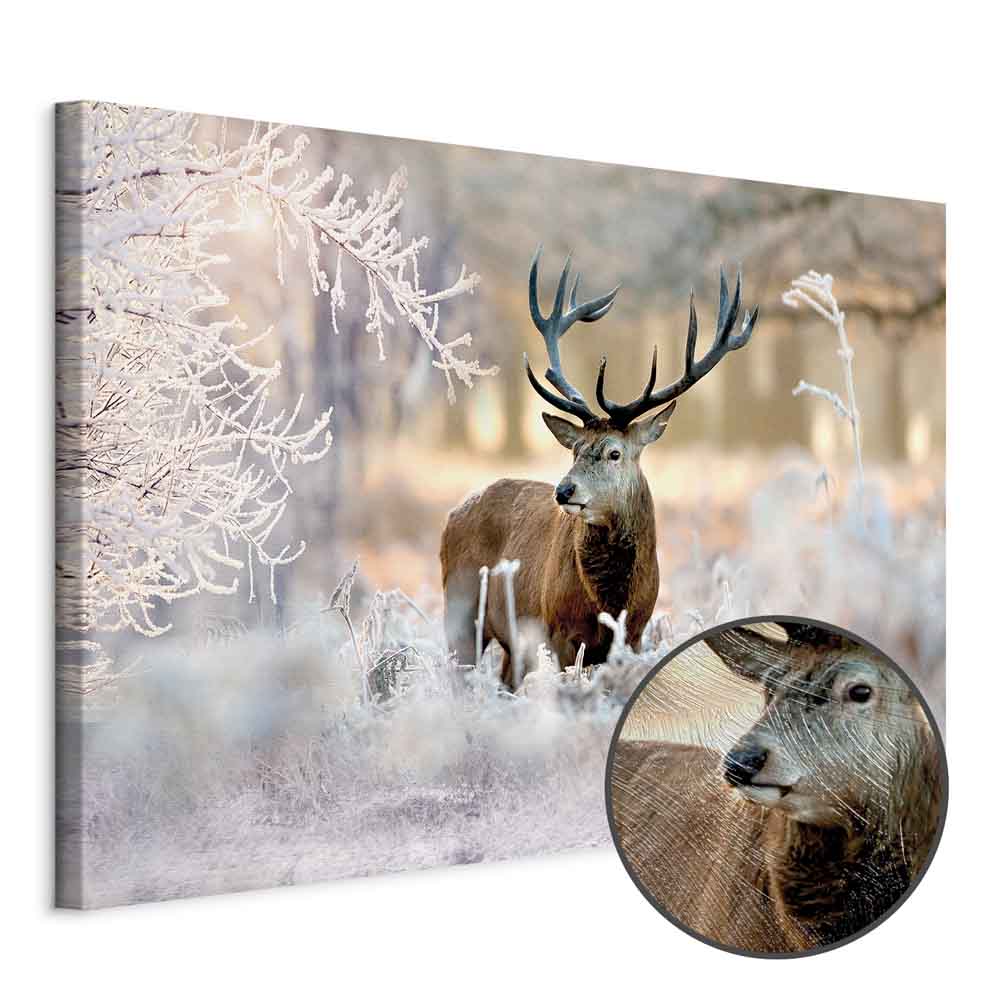 Leinwandbild - Deer in the Cold