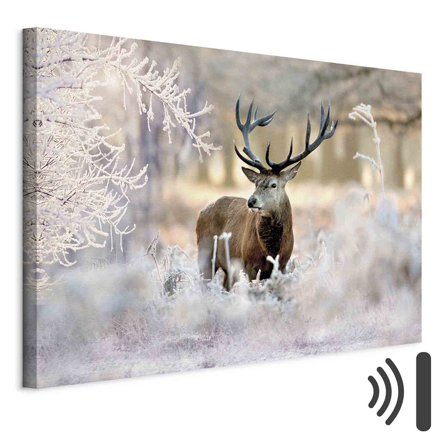 Leinwandbild - Deer in the Cold
