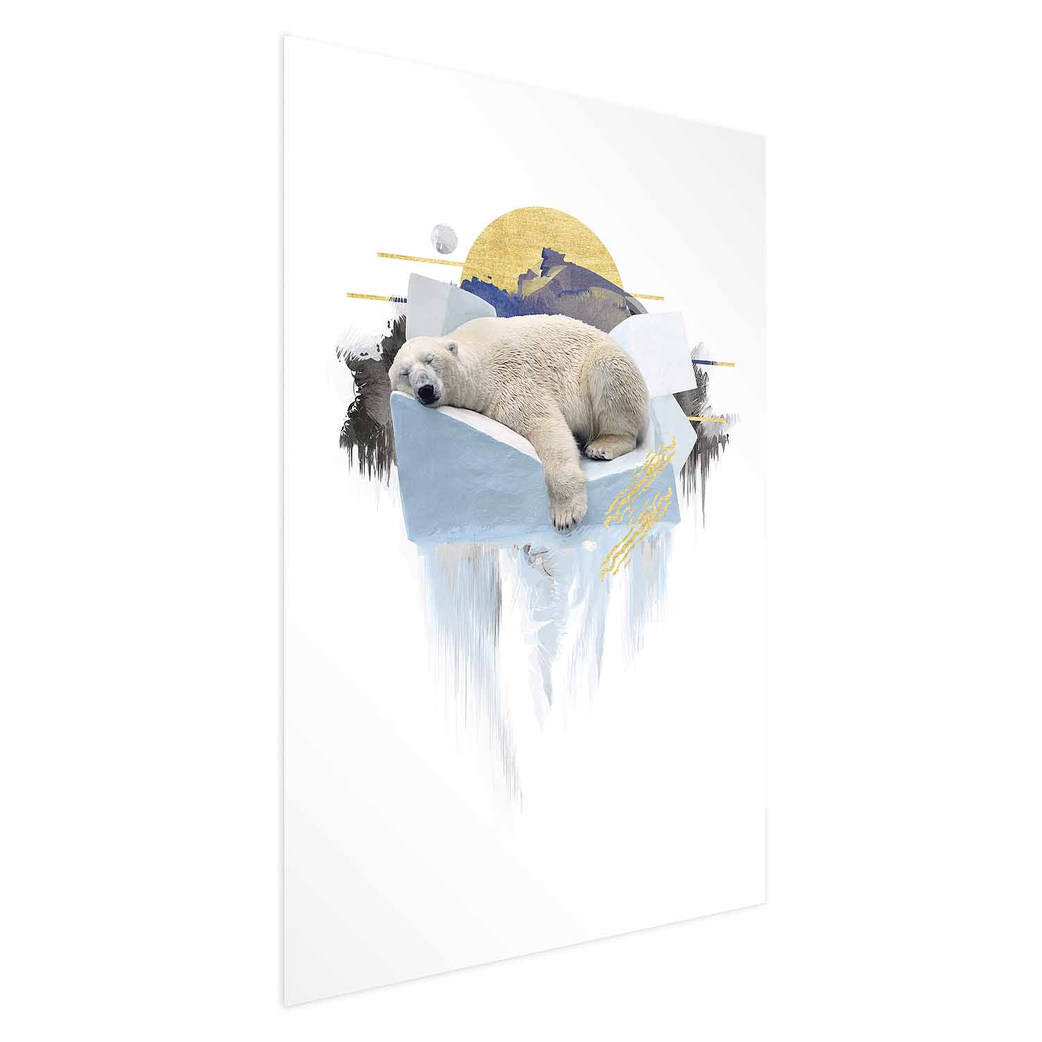 Poster - Polar Bear