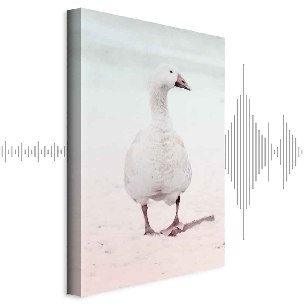 Leinwandbild - Winter Duck (1 Part) Vertical