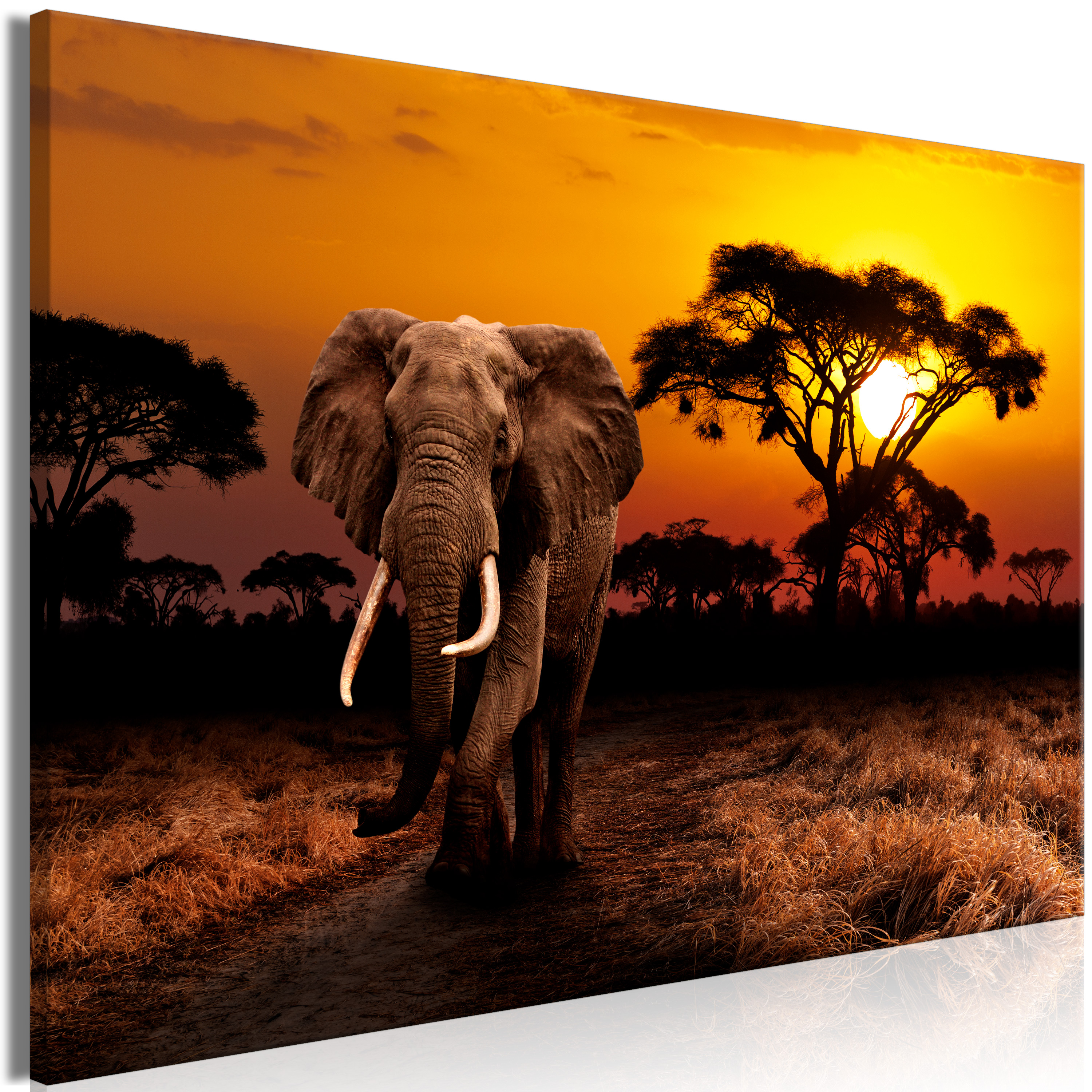 Elefant Vlies Leinwandbild 1 tlg Wanbilder XXL Wand Bild Tier Afrika Wüste Bild