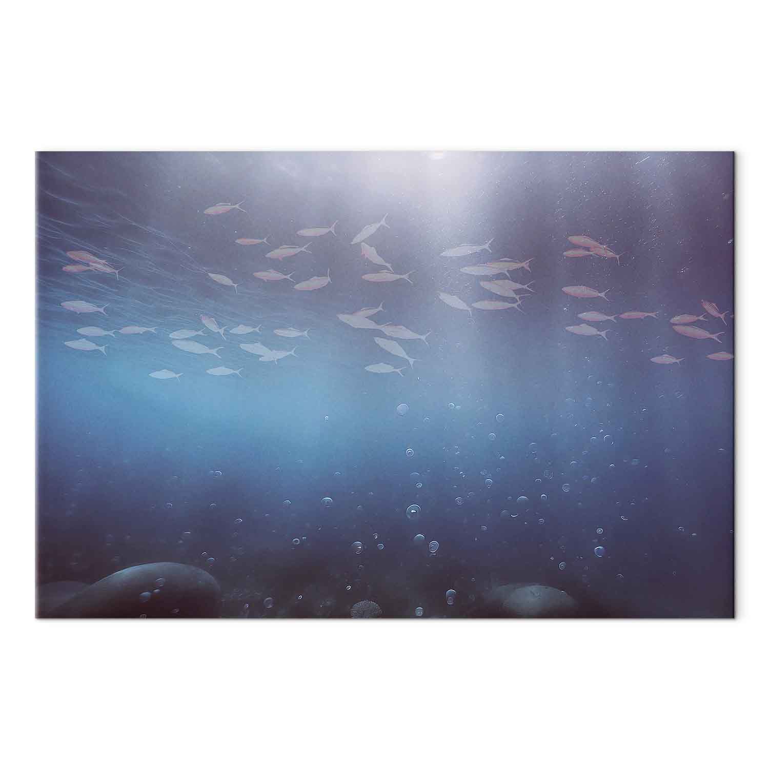 Leinwandbild - Fish in the depths