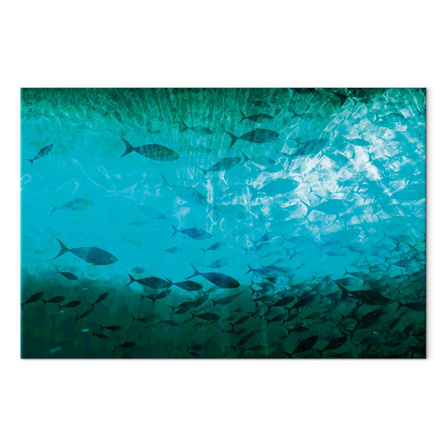 Leinwandbild - A shoal of dark fish