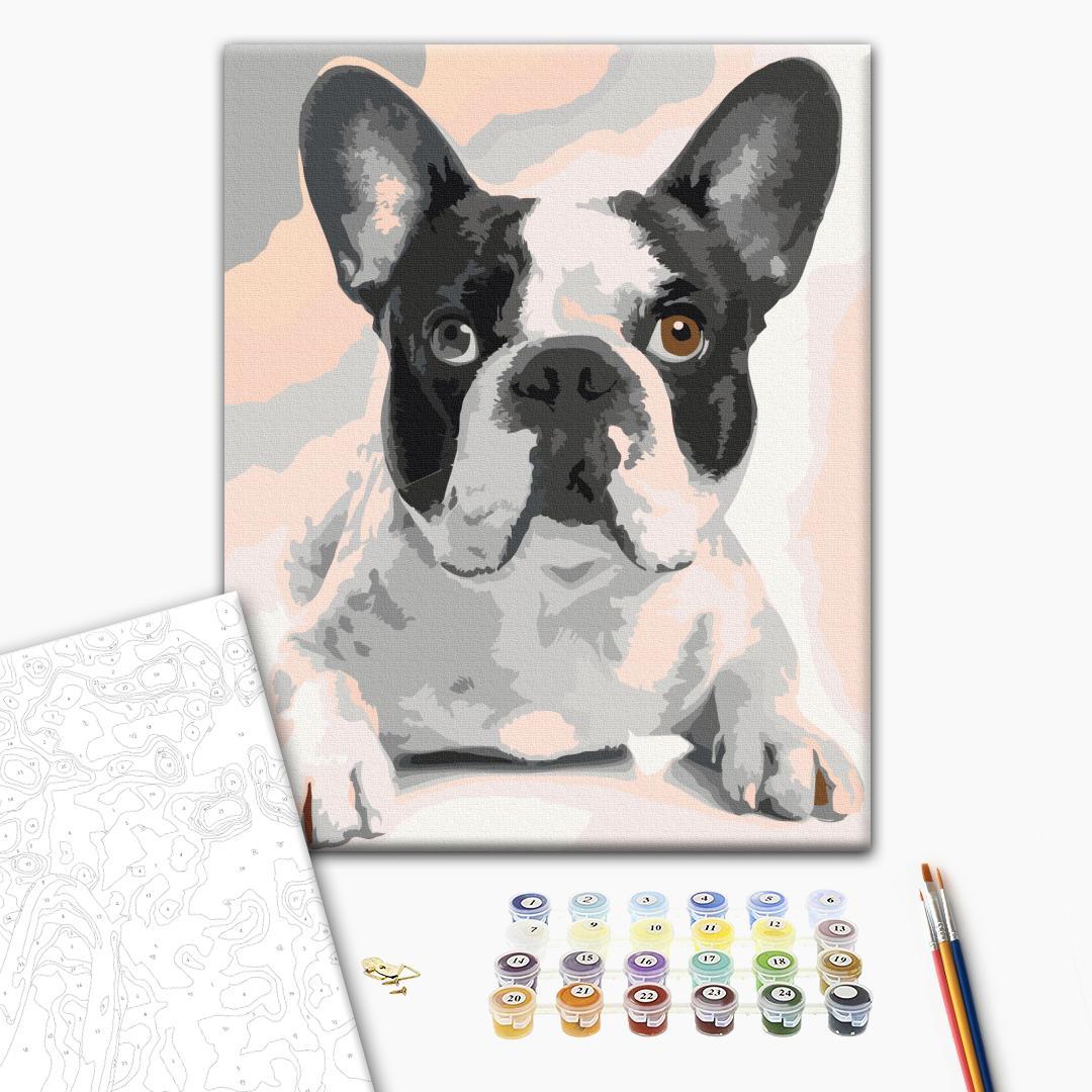 Malen nach Zahlen - French Bulldog