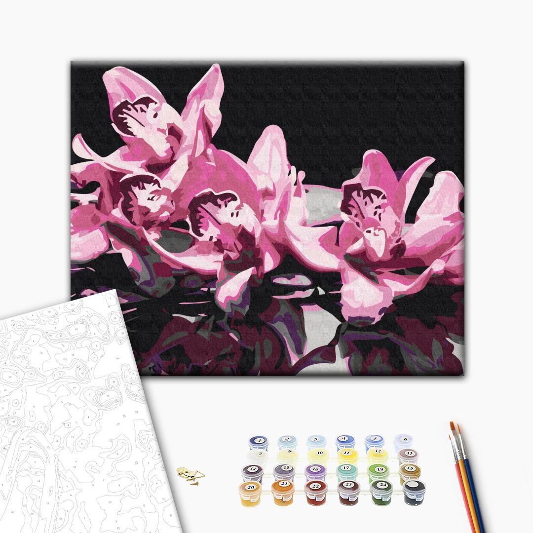 Malen nach Zahlen - Pink Orchid (Black Background)