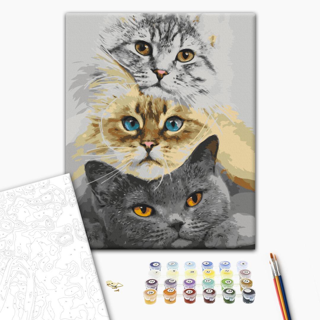 Malen nach Zahlen - Cat's Trio